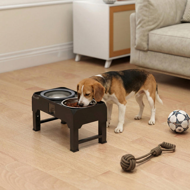 Adjustable Elevated Dog Bowl with 2 Stainless Steel Bowls