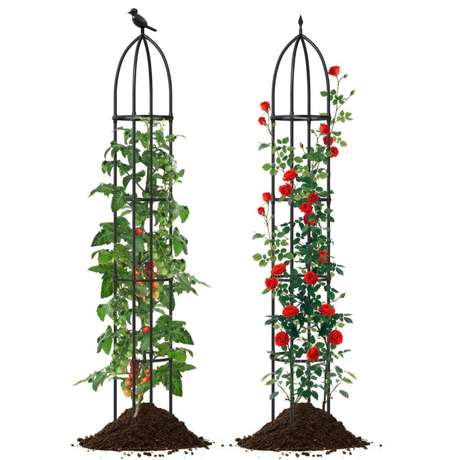Adjustable Metal Plant Support Obelisks, Set of 2