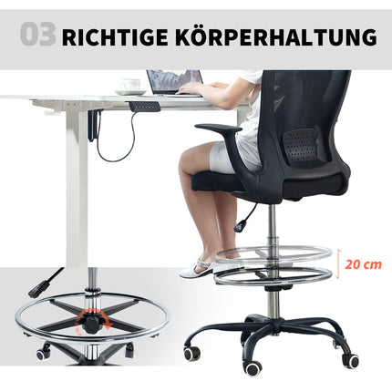 Adjustable Office Chair with Footrest, Lumbar Support, Black