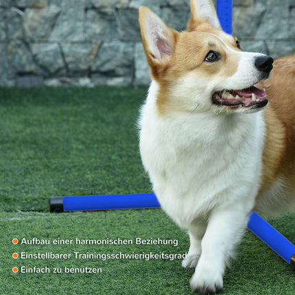 Dog Agility Training Set - 4 blue plastic fences