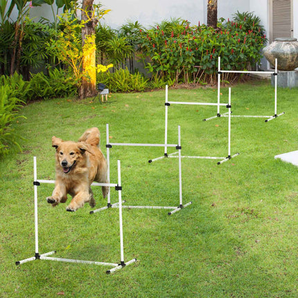 Dog Agility Training Set - 4 slalom hurdles, white