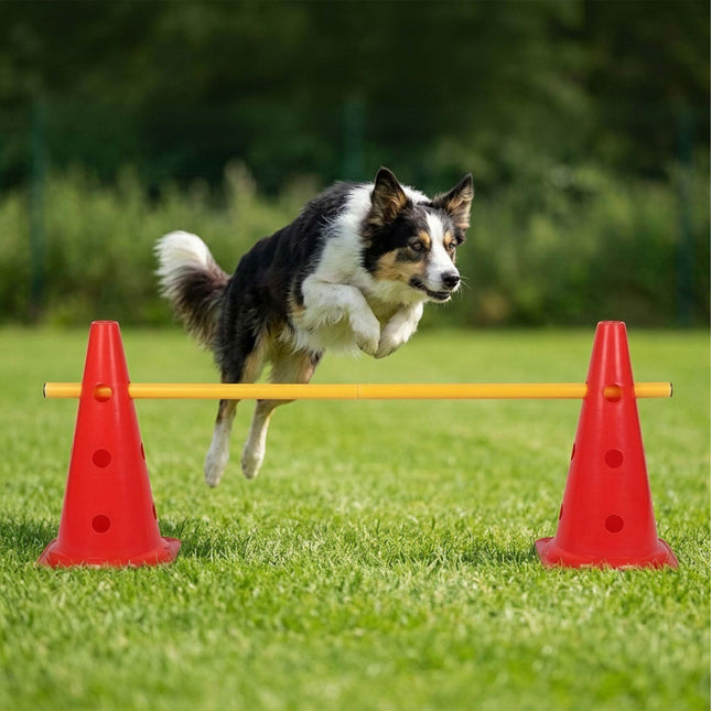 Agility Hurdle Set with 12 Cones & 6 Adjustable Poles