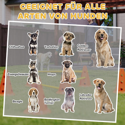 Dog Agility Training Set - 6 adjustable obstacles, 12 cones