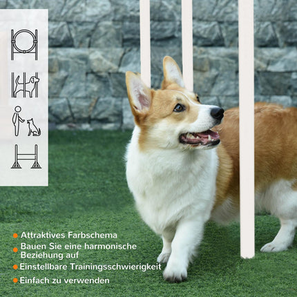 Dog Agility Training Set - 5 pieces, adjustable fences