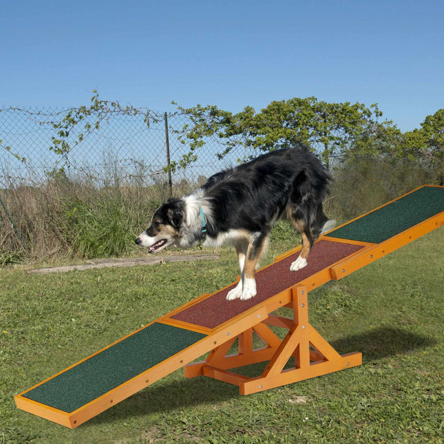 Agility for dogs Seesaw
