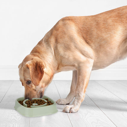 Anti-sling bowl 800 ml