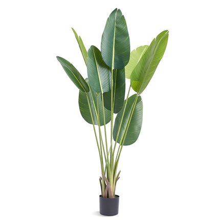 Artificial Bird of Paradise Tree, 1.5m PE, Anti-Tip