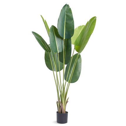 Artificial Bird of Paradise Tree, 1.5m PE, Anti-Tip