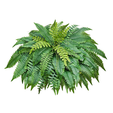 Artificial Boston Fern Bush, 50 In, 96 Fronds, Silk