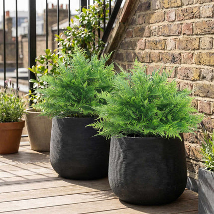 Artificial Boston Ferns, UV-Resistant, 2-Pack, 40x60 cm
