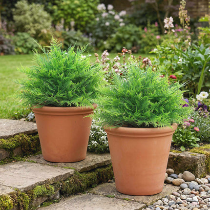 Artificial Boston Ferns, UV-Resistant, 2-Pack, 40x60 cm