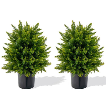 Artificial Cedar Topiary Trees, 2-Pack, 55 cm, UV Resistant