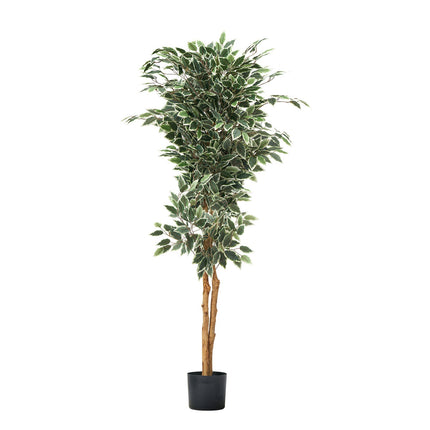 Artificial Ficus Tree 150cm With Black Pot, Silk Leaves