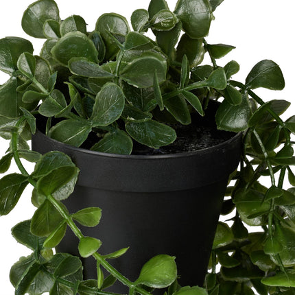 Artificial Hanging Eucalyptus Plants, Set of 2
