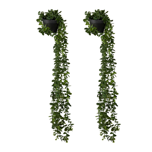 Artificial Hanging Eucalyptus Plants, Set of 2