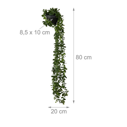 Artificial Hanging Eucalyptus Plants, Set of 2