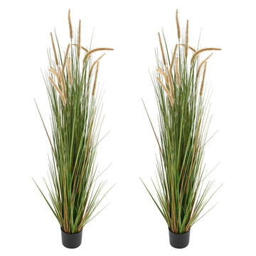 Artificial Horsetail Grass Plants, 2-Pack 5 Ft Potted
