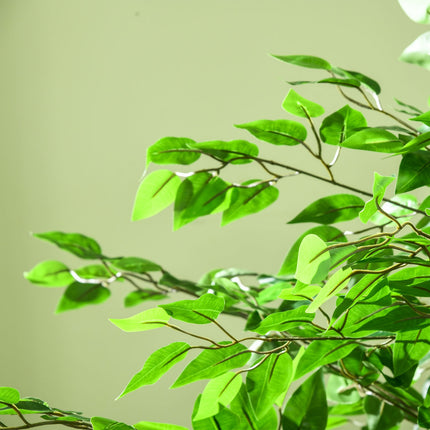 Artificial ficus tree with planting, 180 cm high potted plant
