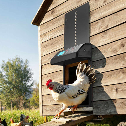 Automatic Chicken Coop Door – Battery Timer, Anti-Pinch