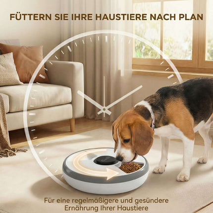 Automatic Pet Feeder with Timer, 6 Meals, LED Display