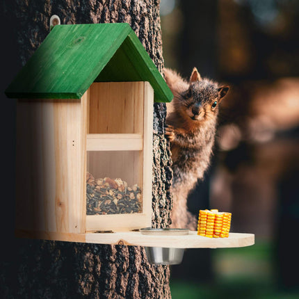 Automatic squirrel feeder with water bowl