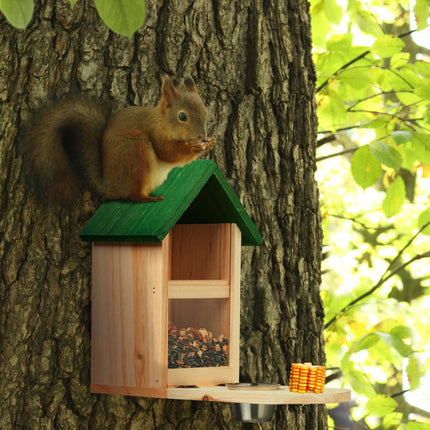 Automatic squirrel feeder with water bowl
