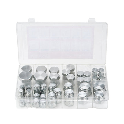 BSPP Hydraulic Cap And Plug Kit, 64-Piece, 04–16