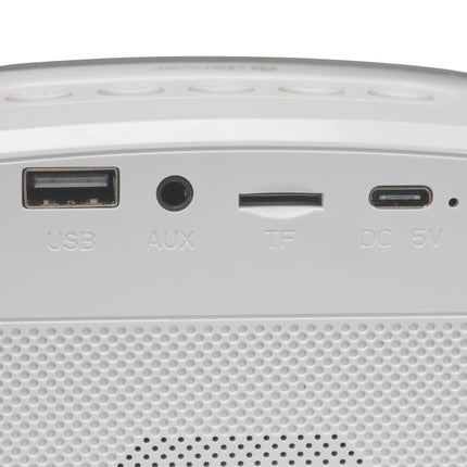 BTM-610 BT speaker with microphone and karaoke function