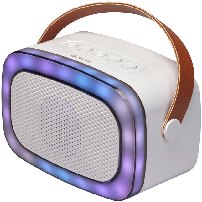 BTM-610 BT speaker with microphone and karaoke function