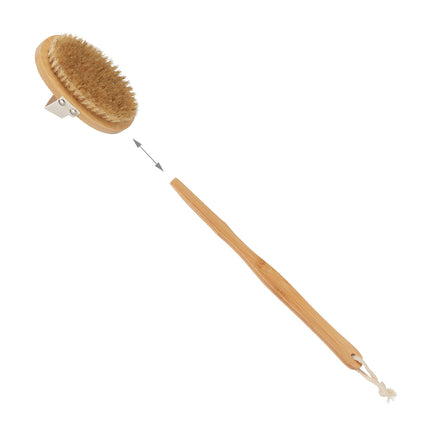 Back brush in set of 6 parts