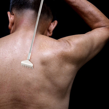 Back scratcher