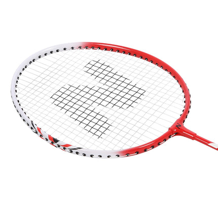 Badminton Set with Aluminum Rackets and Cover