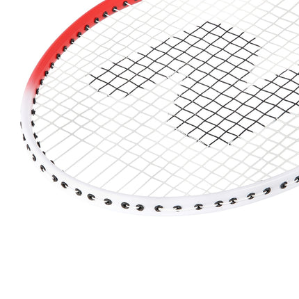 Badminton Set with Aluminum Rackets and Cover