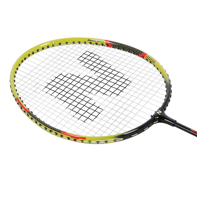 Badminton Set with Cover, Aluminum Construction