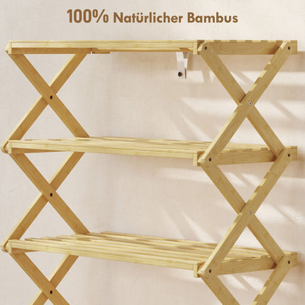 Bamboo Shoe Rack, 4-Tier, Holds 12 Pairs, 60x29x67 cm