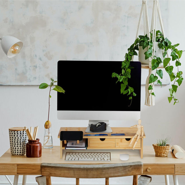 Bamboo screen stand
