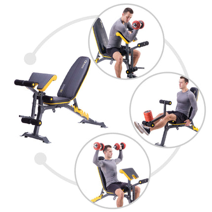 Barbell Bench, Adjustable, Heavy-Duty Steel