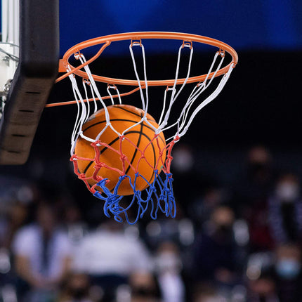 Basketbalring van 18 inch (45,7 cm) van staal met afbreekmechanisme, wandmontage, inclusief net
