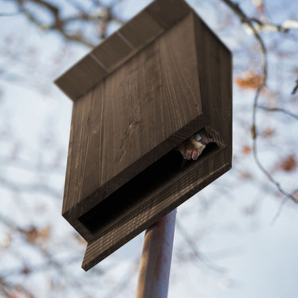 Bat Box Set, Wooden, 2-Pack, Outdoor Use