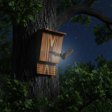 Bat Box Set of 4, Flamed Fir Wood