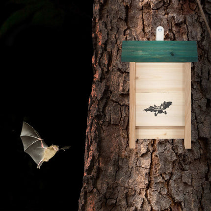 Bat Boxes, Set of 4 – Untreated Wood, Easy Climb