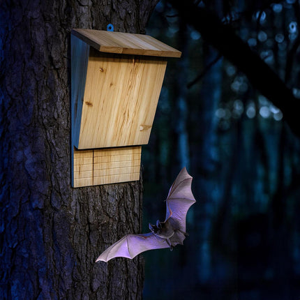 Bat Boxes, Wooden, 2-Pack, Nature Conservation