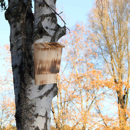 Bat box in flamed wood