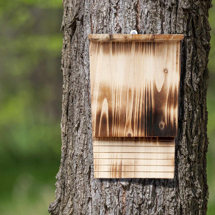 Bat box in flamed wood