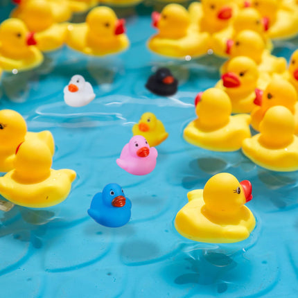 Bathing ducks in a set of 48