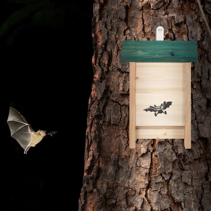 Bat house with green roof