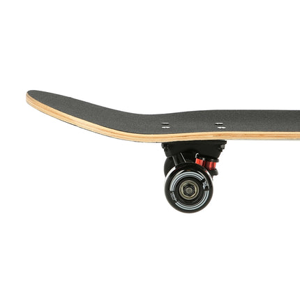 Beauty Skateboard, 31"" Maple Deck, Double Kick