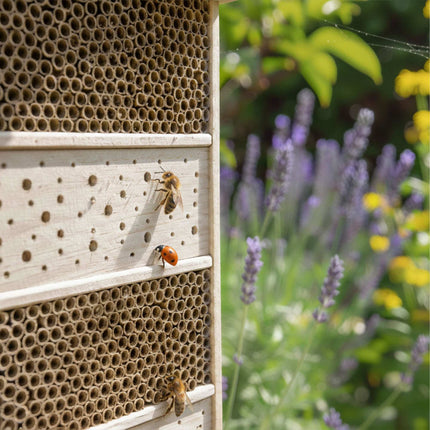 Bee Hotel for Wild Bees – Large Wooden Insect House