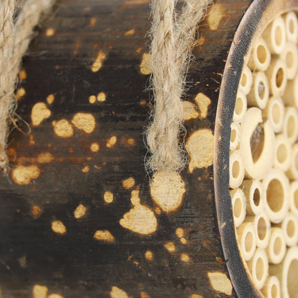 Bee hotel for wild bees