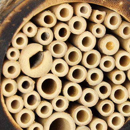 Bee hotel for wild bees